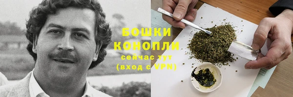 гидра Ладушкин