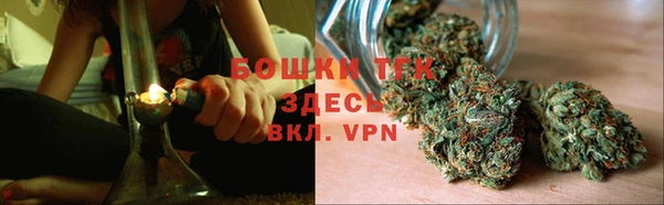 Альфа ПВП Лиски