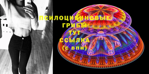 2c-b Лагань