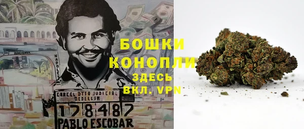 гидра Ладушкин