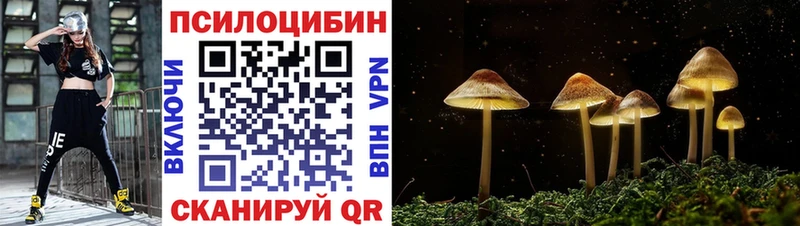 Псилоцибиновые грибы Magic Shrooms  Емва 